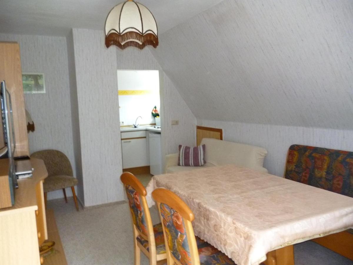 Ferienwohnung Haus Sonnenhuegel Алтенберг Източен Ерцгебирге Екстериор снимка