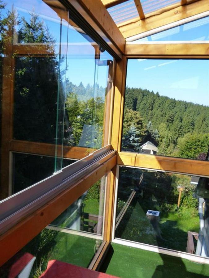 Ferienwohnung Haus Sonnenhuegel Алтенберг Източен Ерцгебирге Екстериор снимка