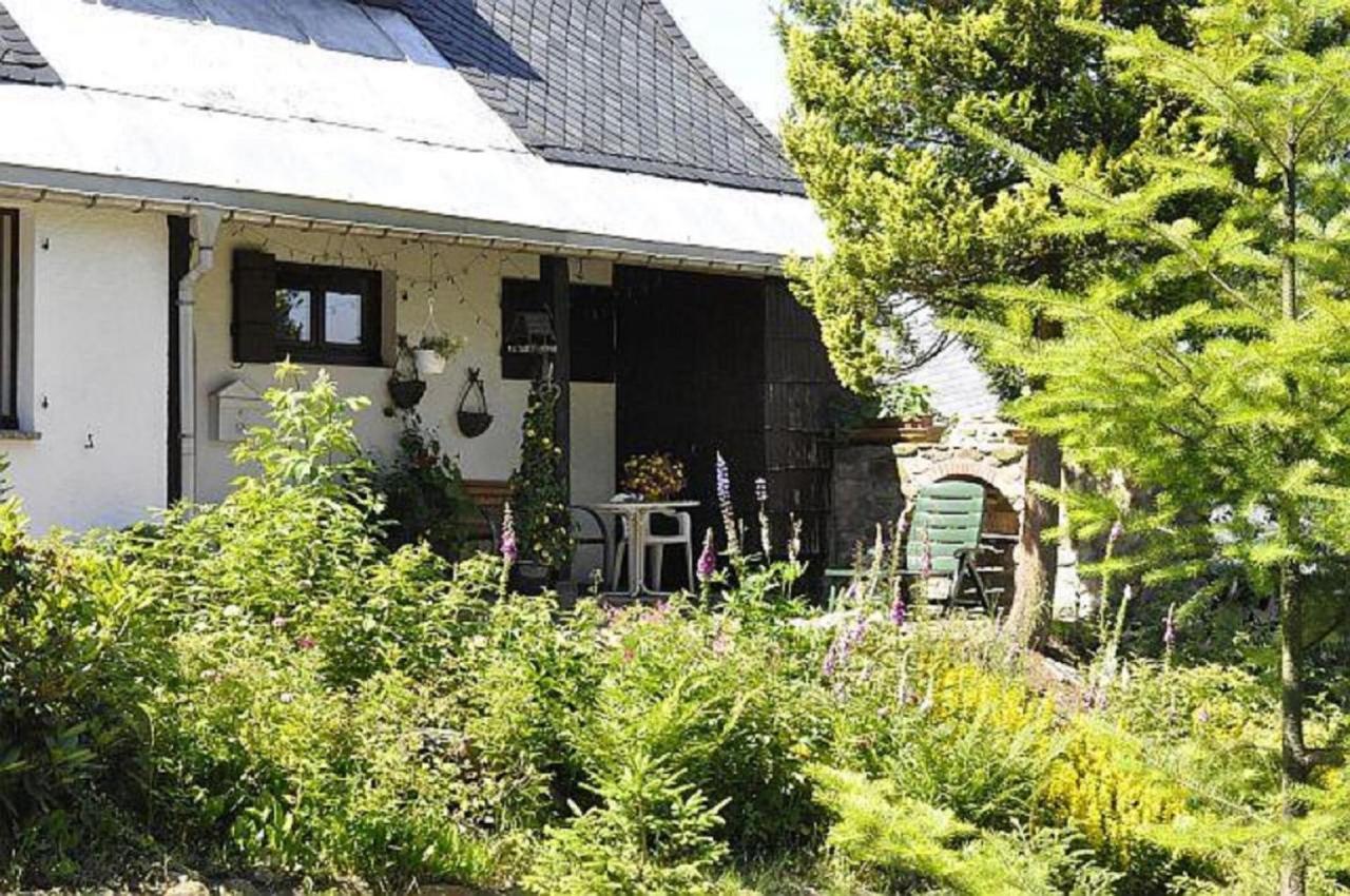 Ferienwohnung Haus Sonnenhuegel Алтенберг Източен Ерцгебирге Екстериор снимка